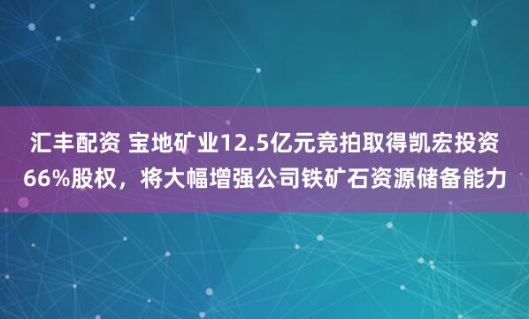 汇丰配资 宝地矿业12.5亿元竞拍取得凯宏投资66%股权，将大幅增强公司铁矿石资源储备能力