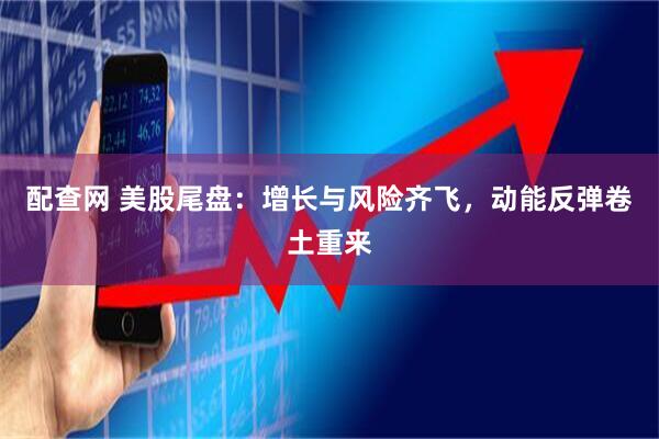 配查网 美股尾盘：增长与风险齐飞，动能反弹卷土重来