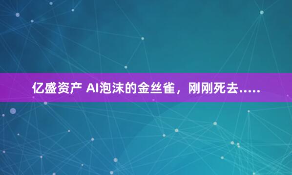 亿盛资产 AI泡沫的金丝雀，刚刚死去.....